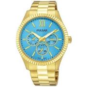 Horloge Pulsar pp6220x1