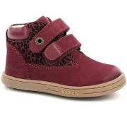 Laarzen Kickers Tackeasy