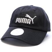 Pet Puma -