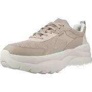 Lage Sneakers Geox D XTORS