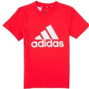 T-shirt Korte Mouw adidas B BL T