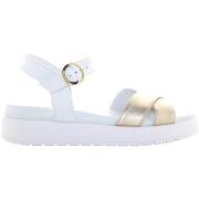 Sandalen NeroGiardini E513703D/418