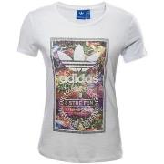 T-shirt Korte Mouw adidas BK2314