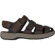 Sandalen Clarks Saltway Cove