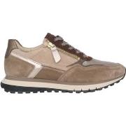 Lage Sneakers Gabor 56.378.82