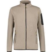 Fleece Jack Icepeak 857874664I245GRAU