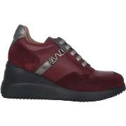 Sneakers Wonders Eva