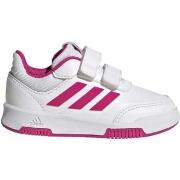 Lage Sneakers adidas GW6468
