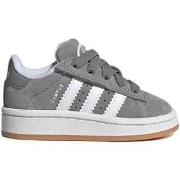Lage Sneakers adidas JI4334