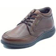 Wandelschoenen Zen 99050