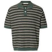 Polo Shirt Korte Mouw Selected Dane Knit - Balsam Green/Stripes