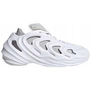 Lage Sneakers adidas Adifom Q