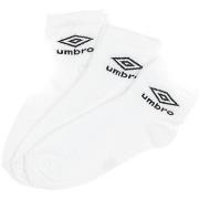 Sokken Umbro -