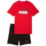 T-shirt Puma Ess 2 Color No. 1 Logo Tee And Set B