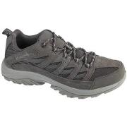 Lage Sneakers Columbia Crestwood