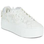 Lage Sneakers Buffalo PAIRED BUTTERFLY