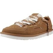 Lage Sneakers UGG M MINIMEL