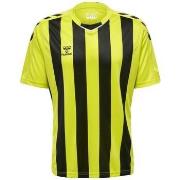 T-shirt Korte Mouw hummel T-shirt Core XK rayé