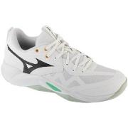 Tennisschoenen Mizuno Wave Momentum Pro