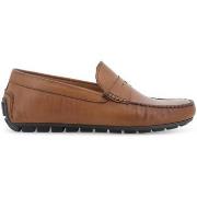 Mocassins Melluso U16038-255242