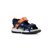 Lage Sneakers Geox J BOREALIS BOY