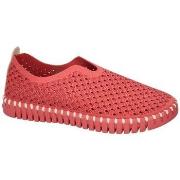 Instappers Ilse Jacobsen Tulip3977 (tulip Slip-in)