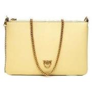 Tas Pinko FLAT 100455 A0F1-C39Q