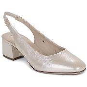 Ballerina's Caprice NINA