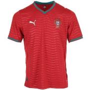T-shirt Korte Mouw Puma FPF Home Jersey Replica