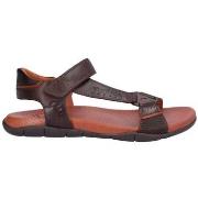 Sandalen Kangaroos BASKETS 1003
