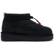 Enkellaarzen D.Franklin BOTTINES Nordic Low Bomb