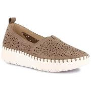 Instappers Grunland DSG-SC6183