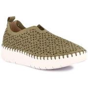 Instappers Grunland DSG-SC6184