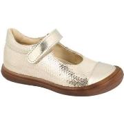 Ballerina's Bellamy ossi