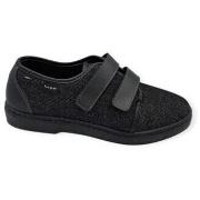 Instappers Fargeot wladimir