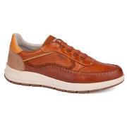 Lage Sneakers Pikolinos salamanca6423c1
