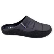 Pantoffels Verbenas earth