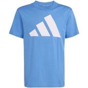 T-shirt Korte Mouw adidas J Bl Tee 160