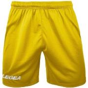 Korte Broek Legea Taipei