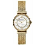 Horloge Emporio Armani AR11321