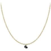 Collier Sc Crystal B2382-DORE-10004-NOIR