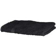 Serviettes et gants de toilette Towel City RW1576