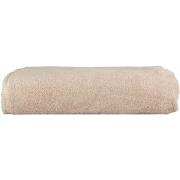 Serviettes et gants de toilette A&amp;r Towels RW6538