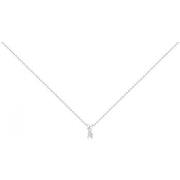 Collier Phebus Collier Femme