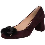 Chaussures escarpins Högl -