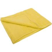 Serviettes et gants de toilette Sols 50 cm x 100 cm PC368