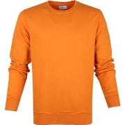 Sweat-shirt Colorful Standard Colourful Standard Pull Orange Bio