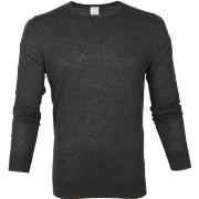 Sweat-shirt Olymp Pull Level 5 Anthracite