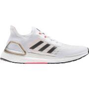 Chaussures adidas Ultraboost S.Rdy