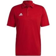 T-shirt adidas Entrada 22